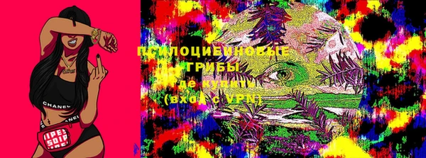 эйфоретик Абинск