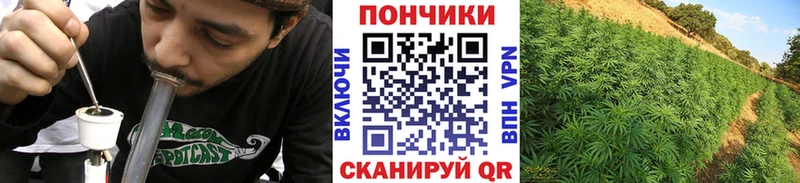 Конопля Amnesia  Нариманов 